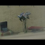 [방탄소년단] 파란<b>장미</b>