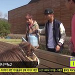 [드루와] <b>라비</b> 엄청 순한거같아