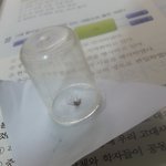 모기 <b>포획</b>함