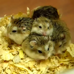 [EXO] 이거 졸<b>귀지</b>?