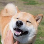 [댓글부탁해] 너넨 시험 못보면 부모님이 뭐라해?