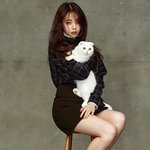 안소희 하이컷 화보