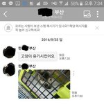 엔젤맘입니다 .학대만 당하다간 어린 냥이 엔젤..