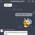 [세븐틴] +추가)세븐틴 카톡 모음