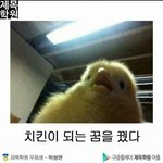 나방금 꿈 꿨는데 개무서워