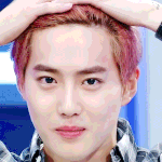 [EXO] 너무 꼬아서 보지마라