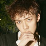[EXO] <b>소중</b>한새호니
