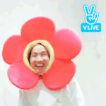 [방탄소년단] 뭔가 <b>am</b> i wrong 악플러 저격일거같지않냐