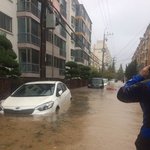 <b>울산</b>은 길거리에다가 된장국 파티 중