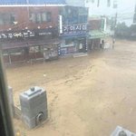 [드루와] 태풍와서 우리학교 <b>난리</b>남ㄷㄷㄷ (사진ㅇ