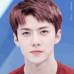 [EXO] <b>오세훈</b>은 뭔가