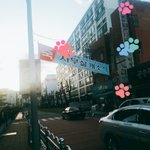 [EXO] 아니 이건 대체 무슨 <b>소식</b>이지