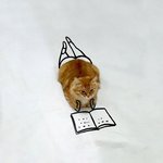 시크냥이와 <b>낙서</b>의 콜라보