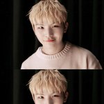 [세븐틴] 지훈이가 귀엽긴 한가보다