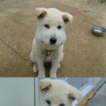 오빠 <b>미웡</b>