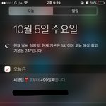 [세븐틴] 진짜 잘 달려왔다 세<b>봉이들</b>