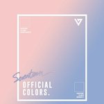 [세븐틴] 공식색 발표 기념 짤파티