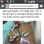 [도와주세요] 태풍 차바 피해 창원 유기보호소에 물찼대요