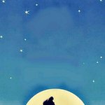 [조언부탁해] 나 가내신 193인데