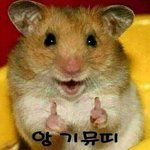 [드루와] 방탄이번에 차트보는거 꿀잼일듯ㅋㅋㅋㅋㅋㅋㅋㅋㅋㅋㅋ