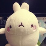 시1발 <b>몰랑</b>이년개싫어 ㅆㅑㅇ