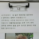 의정부 신곡동 갈색 푸들 잃어버리신분
