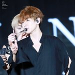 [백현] <b>항저우</b>콘 벌레깜놀백현 고화질 2