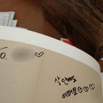 [에이핑크] 팬싸후기!0!