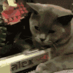 [<b>요동</b>요동해] ㅗㅗ