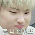 [세븐틴] ㅂㅅㄷ)뿌앱 다시보기 보고있는데..