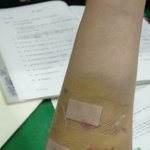 [개깊은빡침] **** 펫<b>시터</b>하고 생긴일 사진有 어이無 ****