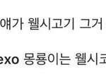 [백현] 김희철 - 백현 인스타<b>그램</b> 댓글 'ㅅ'