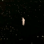 [EXO] 마음을 비우시고 이짤을 <b>시청</b>하세요.