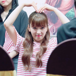 [에이핑크] 밑에 어그로 글 무시행