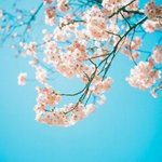 <b>무명</b>그룹 유명그룹 노래..