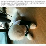 [댓글부탁해] 나 헬스장에서 <b>관</b><b>종</b>짓해볼까?