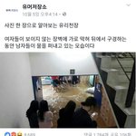 (여혐주작) 사진 하나로 알아보는 유리천장.<b>jpg</b>