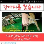 [동행세상] 성남 학<b>대견</b> 모란시장쪽에 팔았다고 합니다.