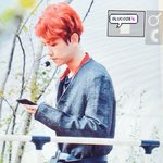 [백현] 백현이 머리 너~~~무  예쁘다 !!!