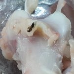 [개깊은빡침] 편의점 마니커 스모그 <b>닭다리</b> 먹다가 벌레나옴..