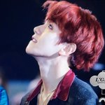 [EXO] 아 조카 하늘로 <b>승천</b>할기세