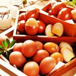 [EXO] <b>맥반석</b> 계란 말한거야