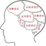 판에 <b>남혐</b>을 부추기는 메갈 워마드 뇌 구조