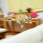 [EXO] <b>박찬</b>여ㄹ 개귀엽다 진심ㅋㅋㄱㅋㄱㄱㄱㄱㄱㄱㄱㄱㄱㄱ