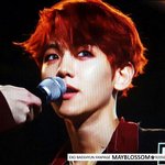 [백현] 백현이  레드<b>헤어</b>!!!