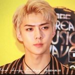 [EXO] '윌리스' 매우 <b>용모</b>가 뛰어나다