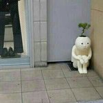 이런 애들 보면 예쁜 척하는 거 같애?