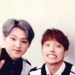 [세븐틴] 난뚱찌가아니다!!!!! <b>샤프</b>찌야.