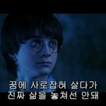 최저 안보는 인서울 <b>동국</b>대 말고 어디있지?