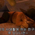 [댓글부탁해] 친구가 내 담까다 걸림